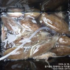 28일 뉴미라클 쭈꾸미 찾아 ~~ 사진