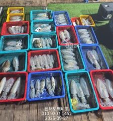 팁런무늬오징어 가까운내만에서 손맛보려오세요 내일예약가능합니다 사진