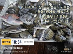[부산] 태종대권 덩치감성돔~마릿수~돌돔+참돔+벵어돔 조황 사진