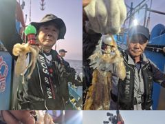 크라운호 쭈,갑 실시간 조황(30일)-오후자리있음 사진