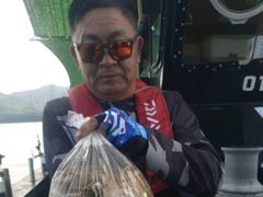 [사천] 쭈꾸미출조 내일 6자리여유있습니다