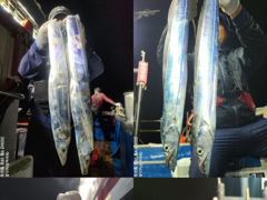 [여수,광양] <여수뉴피닉스호> 씨알좋은 갈치출조ㅡ 이번 금요일(2일) 자리많… 사진