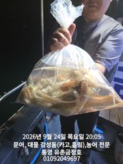 통영 금정호 오전문어선상 내일 정상출항! 자리있습니다 주말 자리여유 사진