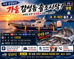 10월1일(목)가을감성돔개인출조합니다 사진