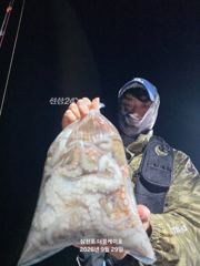 삼천포 주간 , 야간 문어조황! 매일출조 자리여유! 사진