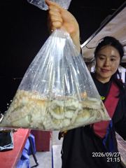돌문어사냥! 사이즈,마리수 좋습니다! 사진