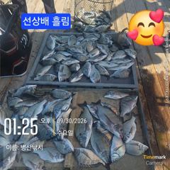 [고성] 병산 감성돔38외 마리수 선상배&선외기흘림조황 사진