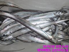 군산갈치원조 잘나옵니다 사진
