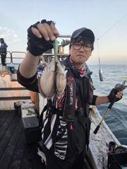 [쭈·갑·문조황] 블루오션호 9월말(21일~30일)갑오징어 조황입니다. 사진