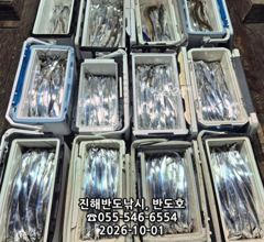 [진해] 1일,내만갈치,호조황연속,엄청나게 나옵니다.오늘출항(목,금,월~… 사진