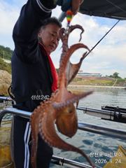 삼천포 마린보이 풍성한 가을문어 뜯으로 출항합니다. 사진