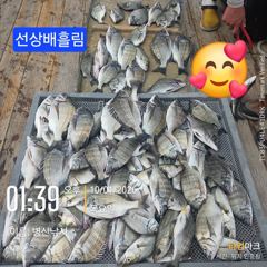 [고성] 병산 감성돔37외 마리수 선상배&선외기흘림조황~~ 사진