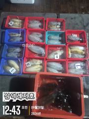 [팁런],원도권,무시급들( 금요일,소수인원.출항확정) 사진