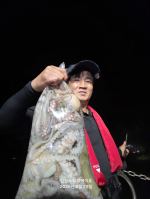 먹물조황 글만 보기 사진