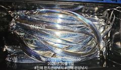 준내만 4지급 텐빈 갈치 가득 쿨러 조항!! 내일 무조건 출항 사진