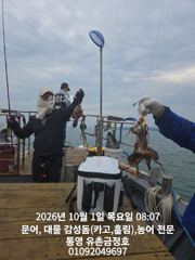 통영 금정호 오전문어 시작부터 신나게 올라옵니다 내일과 주말 자리여유있습니다 사진