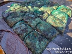[고강호] [ 고강호 ] 10월 1일 [ 이제 사리 끝?! - 갑오징어 + 주꾸미 조황 !! ] [ 인천배낚시 청마피싱 / 인천선상낚시 / 인천낚시배 ] 사진