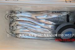 [사천] (사천저도좌대&펜션)10월1일 저도 좌대 주야간 조황 사진