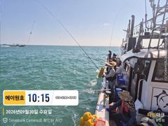 [부산] 42센티 감성돔에 덩치급 돌돔까지 마리수 조황입니다 사진