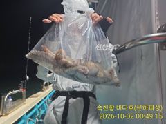 야간문어 사이즈 장난 아님.1.8k 1k다수 다수 최고14수 12수 10수 오늘 예약가능