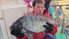 1  《어초여밭 감성돔흘림 실시간》48.43.41외 뺀.참 진행중 1 사진