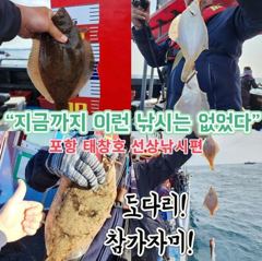 [포항] 태창호 돌문어 띁어로 토일월 오저8시 출조