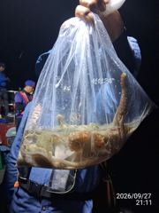 돌문어사냥 너도나도 굿조황! 먹물파티! 사진