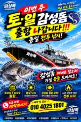 [거제] 토.일 감성돔 종일 전투낚시 나갑니다!! 사진