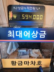 무늬오징어 임원항 황금마차호 사진