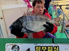 1   [거제] 《대물감성돔 어초흘림》48.43.41외 뺀지.참돔 한방 터지고 … 1 사진