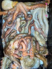 10/2 고흥녹동흑룡호 문어조황 사진
