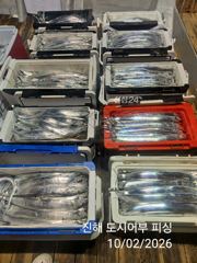 2일새벽 내만 용가리 계속 이어 갑니다~!! 예약가능 사진