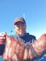 10월 2일 갑오징어 & 주꾸미 조황