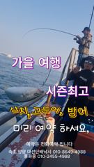 삼치 방어 고등어 1타쌍피 막잡아 최고 조황 구경하시고 급(내일 4자리) 빠른연락 주세요,서울 수도권에서 제일 가까운 동해바다 속초 양양 대선단배낚시 사진