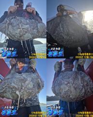 <고흥녹동> 청룡호 2일 돌문어 630수!!대박조황!!!! 사진