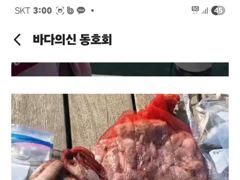 9월 21일 조황입니다 사진