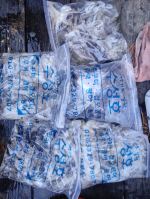 쭈갑조황 글만 보기 사진