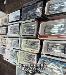 2일,내만갈치,담뱃갑 씨알에,엄청나게 나옵니다,오늘5자리(금,일,월~예약가능) 사진