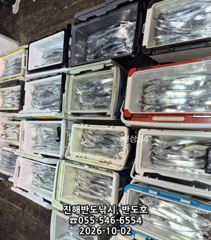 2일,내만갈치,담뱃갑 씨알에,엄청나게 나옵니다,오늘7자리(금,일,월~예약가능) 사진