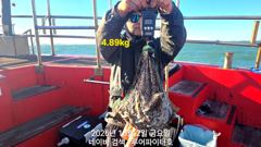10/2 금 [13물] 쭈꾸미/갑오징어 조항 입니다. 사진