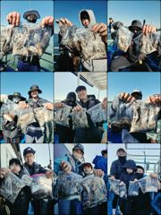 [먹물] ♡쭈.갑♡(체험) 10월 2일 조황~!^^ 사진