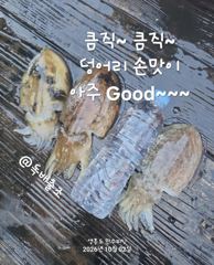 10월 2일 독배출조~ 사진