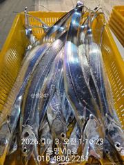 10/2 탐사 조항 입니다!!! 사진
