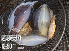 {팁런] 좌시리 ,씨알 ""굿"" (일요일 출항) 사진