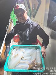 2일 거문도 무늬 오징어 조황입니다 사진
