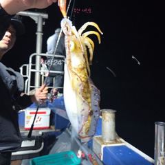 10/2 팁런조황 사진