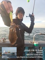 3일, 군산은 갑오징어 천국~나오고 있어요~실시간~군산낚시프라자 하이원호 사진