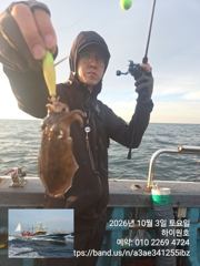 3일, 군산은 갑오징어 천국~나오고 있어요~실시간~군산낚시프라자 하이원호 사진