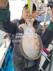 3일, 군산 갑오징어 포인트 넓다~오늘도 나오고 있어요~실시간~군산낚시프라자 챔피언호 사진