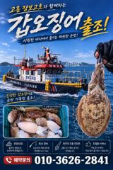 녹동가을돌문어 쏟아집니다 ~ 사진